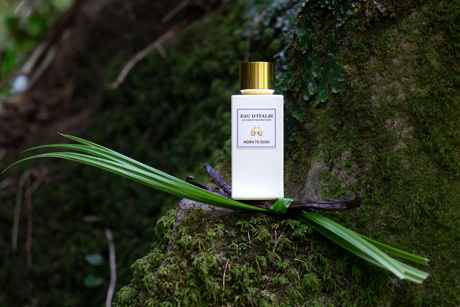 MornToDusk-31-copia_1600x.jpg?